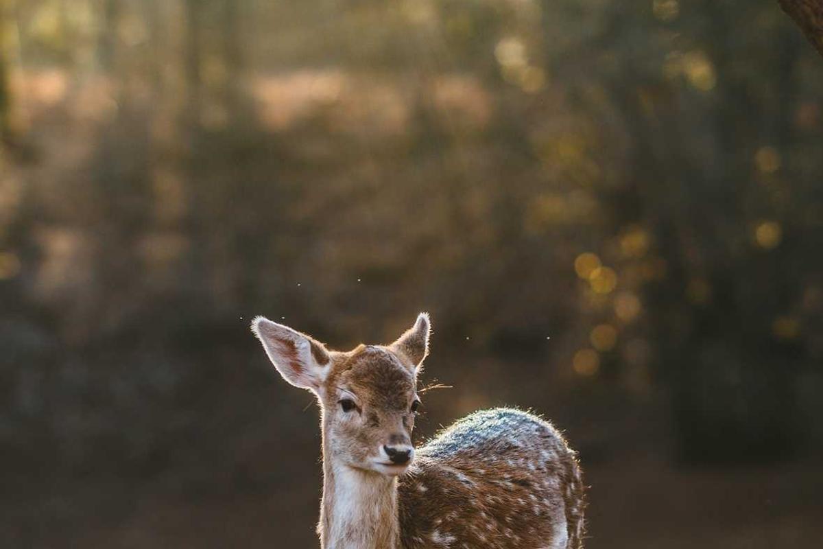 장바구니에 서른 닷새 누워 있던 물건들의 후일담